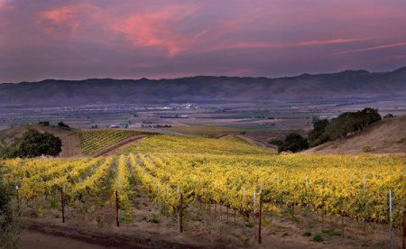 Paraiso Vineyard overlooking Soledad at Dusk