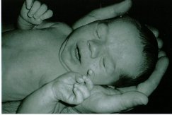 A Baby Held In Hands