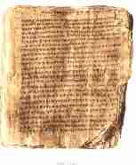 A Papyrus Manuscript (P66) of the Beginning of John's Gospel.