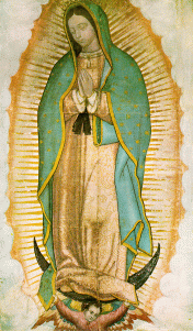 Our Lady of Guadalupe Tilma